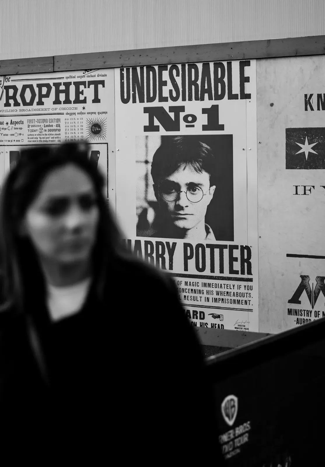 Harry Potter Warner Bros. Studios Londra – foto 11