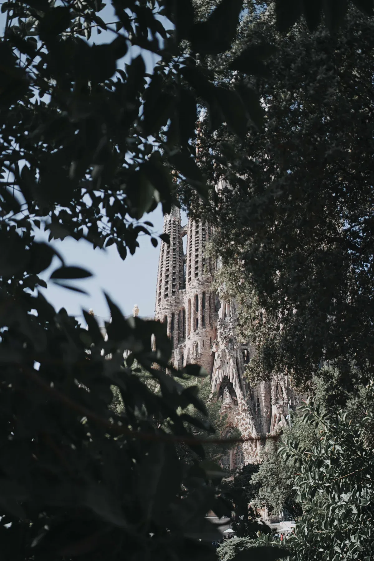 LightCraft: la Sagrada Família tra le foglie con lo stesso preset applicato