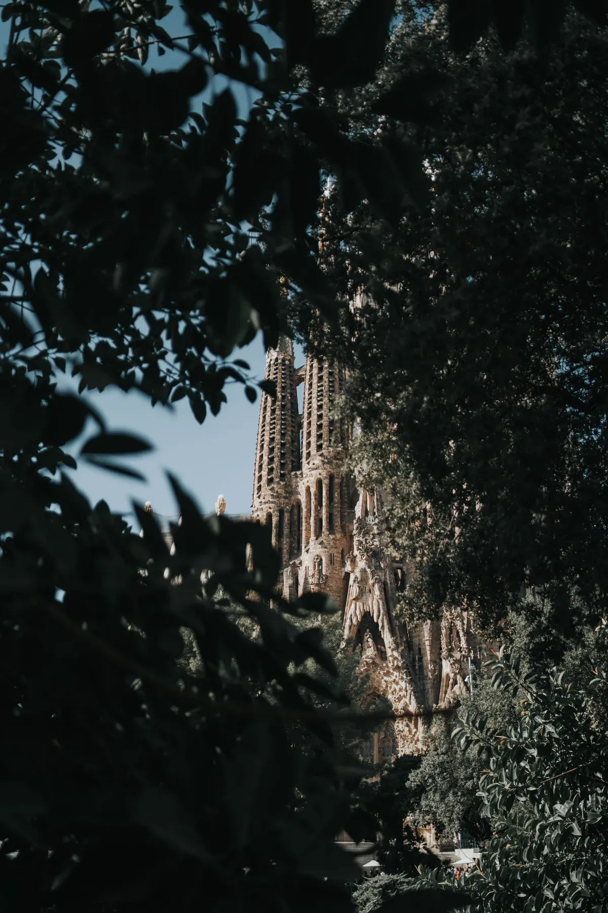 Lightroom: la Sagrada Família tra le foglie con lo stesso preset applicato