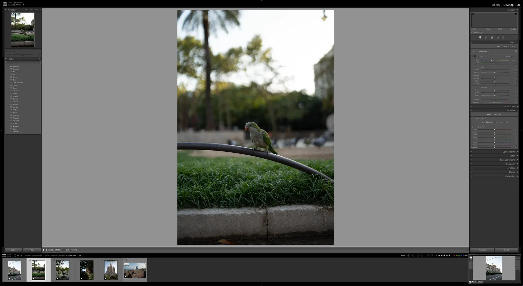 Lightroom Classic con un file RAW Sony aperto nel modulo Sviluppo